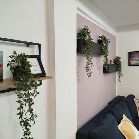 Apartament Jazbina Pula Zewnętrze zdjęcie